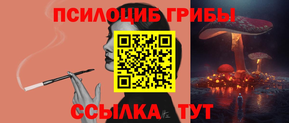 Псилоцибиновые грибы мухоморы  Псилоцибиновые грибы прущие грибы  Вход с VPN  Кандалакша 