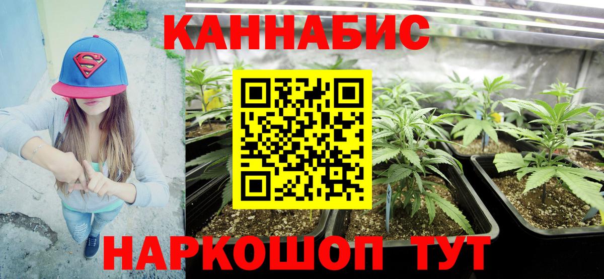 Бошки Шишки ГИДРОПОН  Конопля сатива  Кандалакша  Вход с VPN 